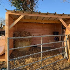 Abri pour poney